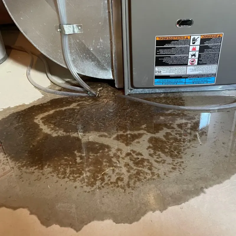 Pipe Burst and Leak Restoration in Decatur, TN