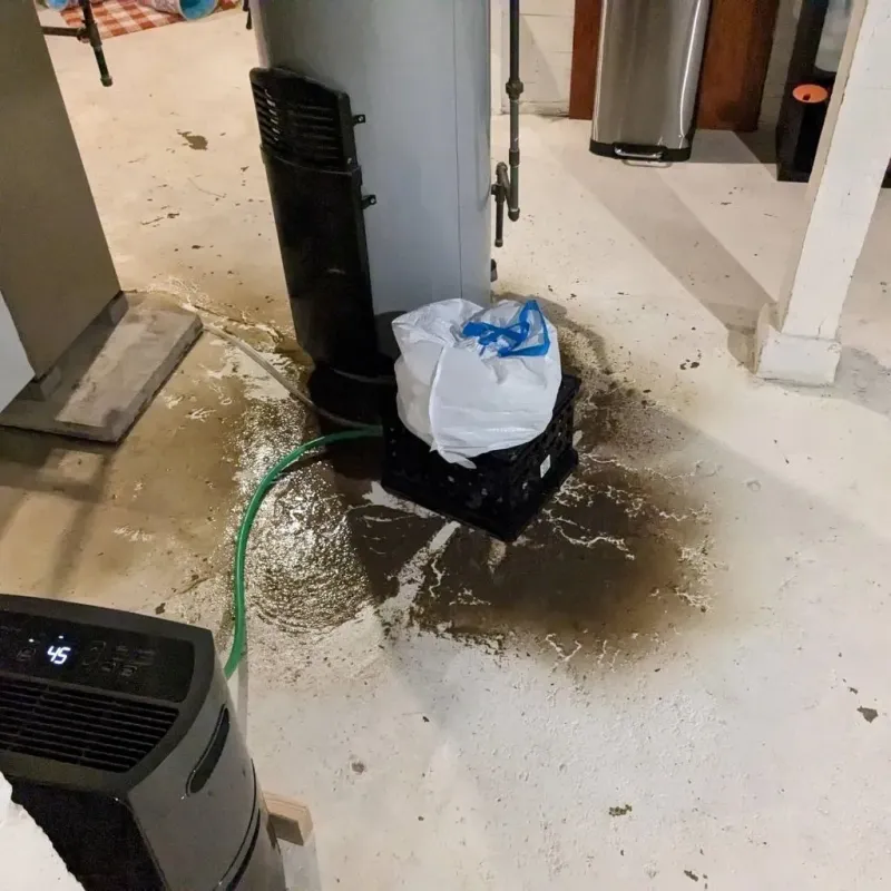 Sewage Backup Cleanup Service in Decatur, TN
